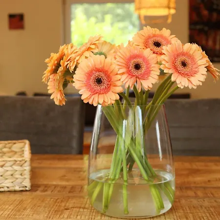 בית נופש Fernweh Göhren-Lebbin